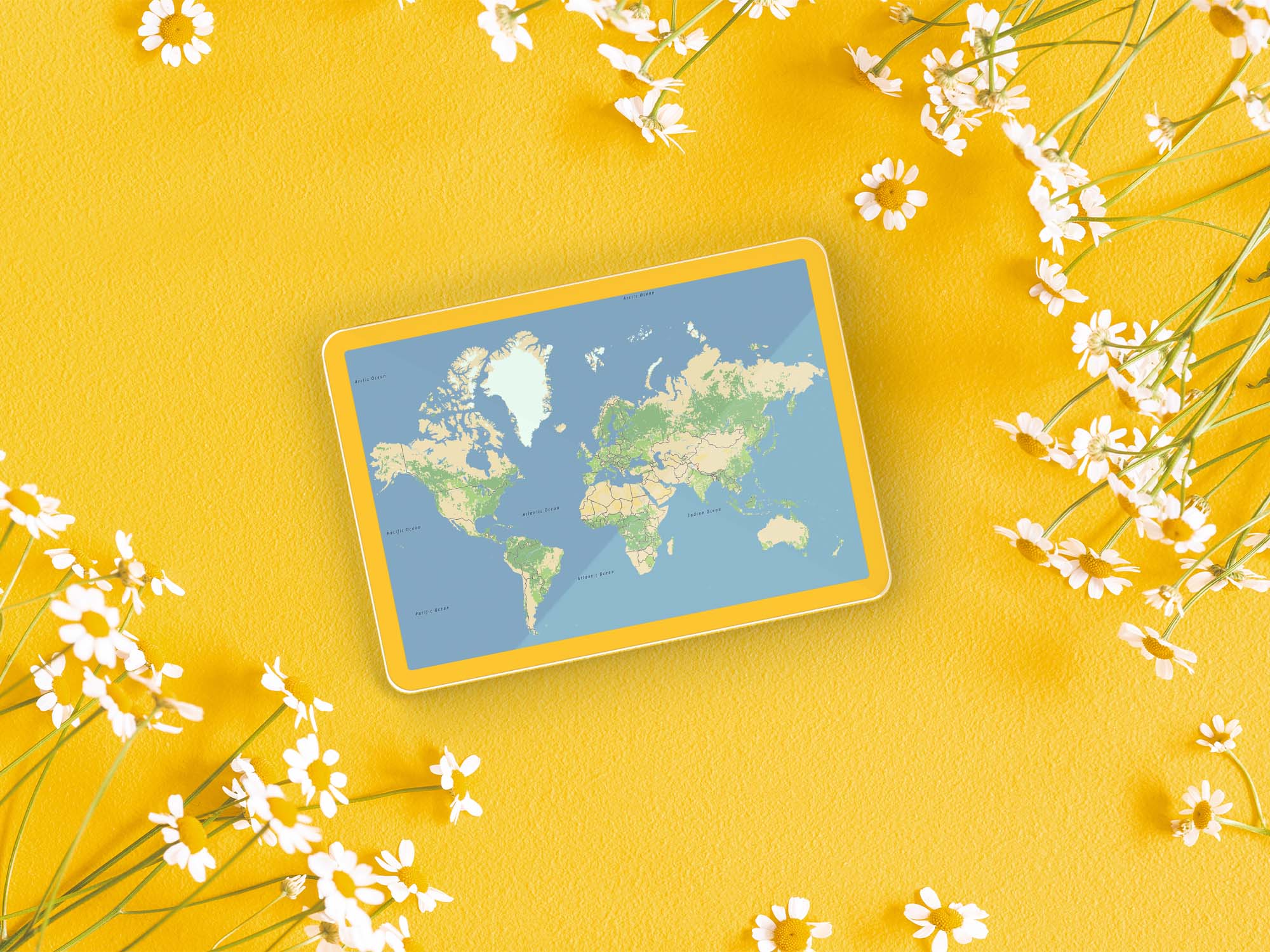 Tablet displaying a map, amidst a yellow background with flowers