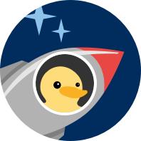 Duck in rocket